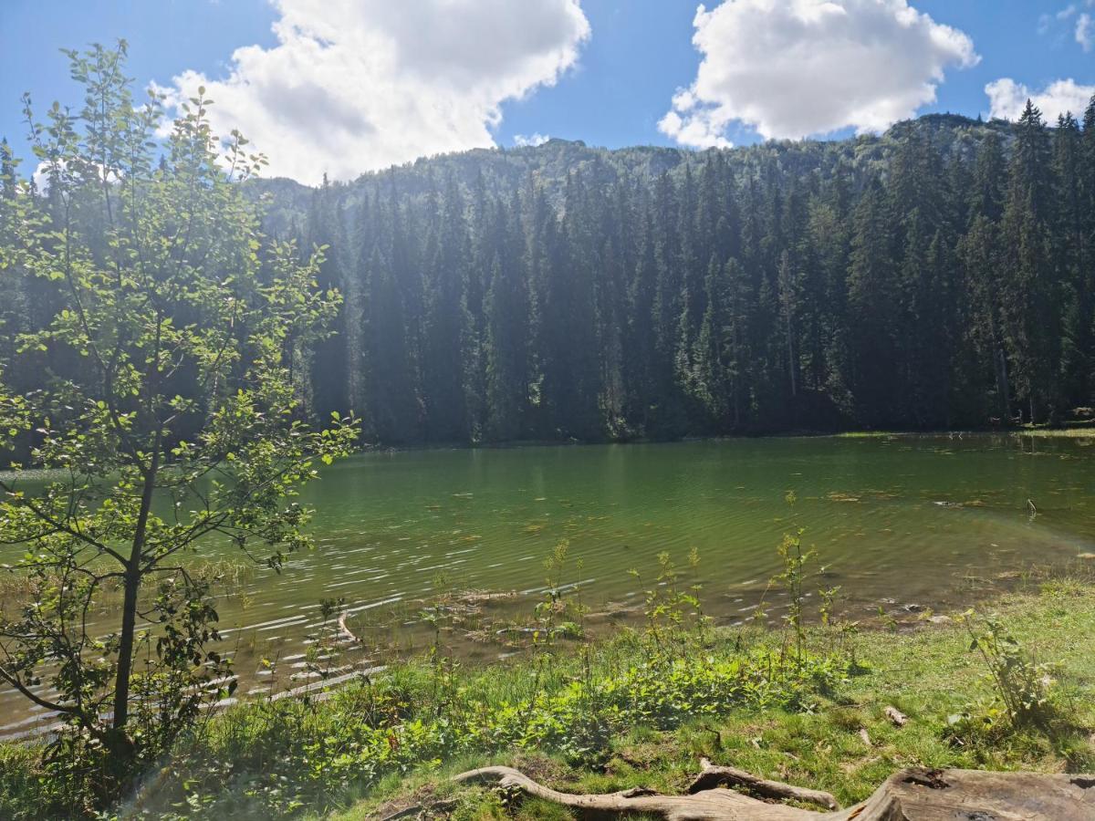 Holiday Home Mountain Žabljak Εξωτερικό φωτογραφία